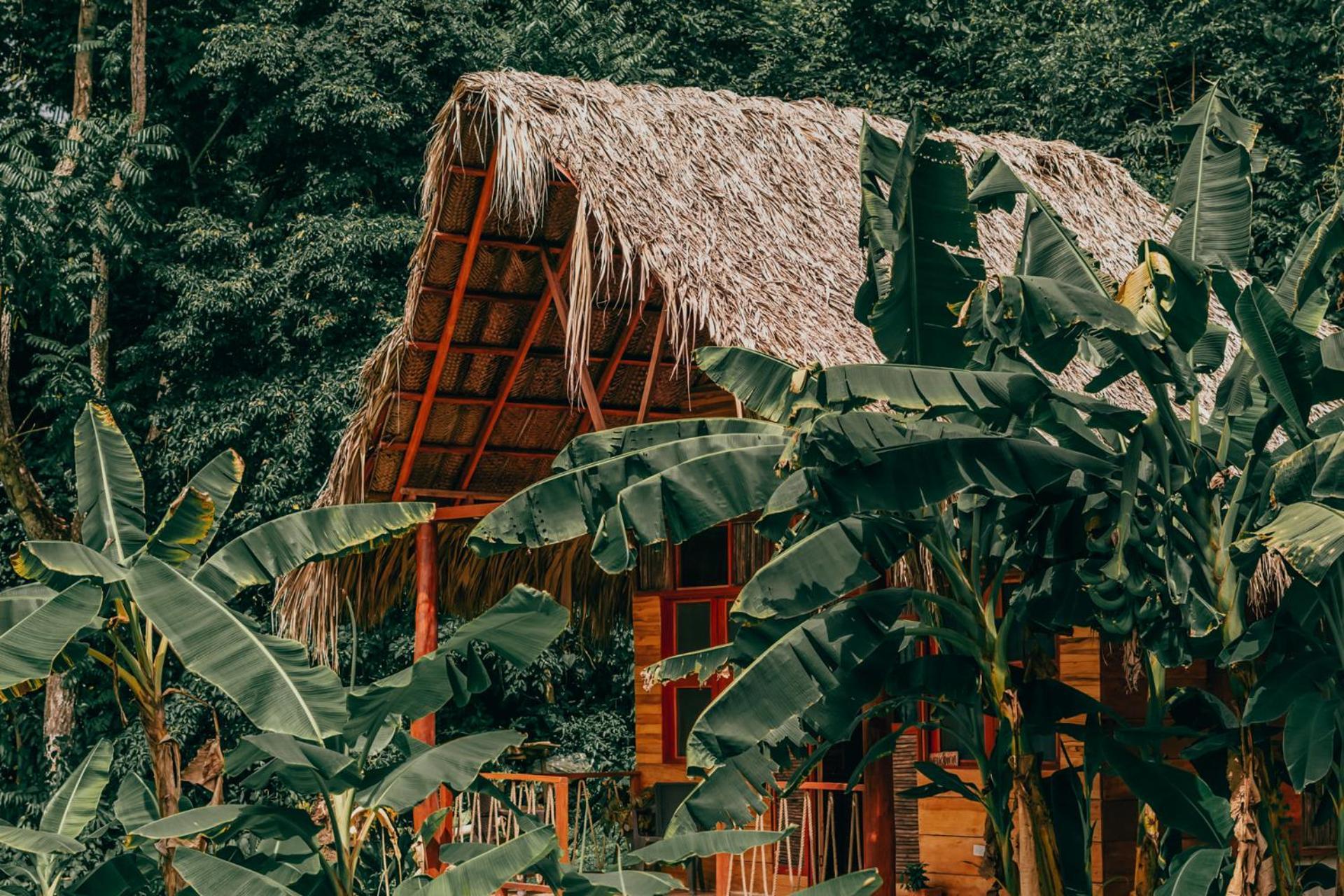 Magic Green Dentro Del Parque Tayrona Ел Заино Екстериор снимка