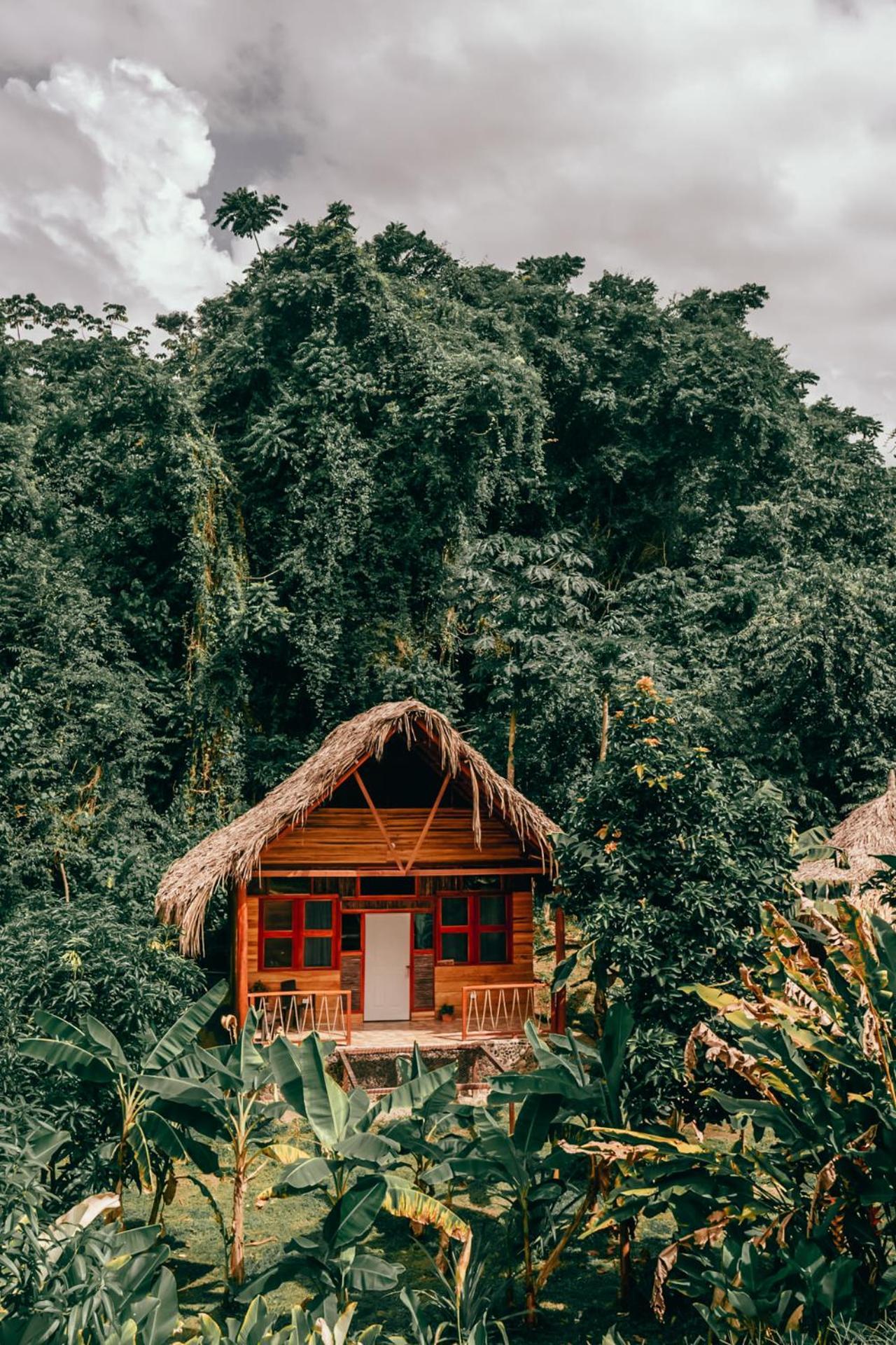 Magic Green Dentro Del Parque Tayrona Ел Заино Екстериор снимка