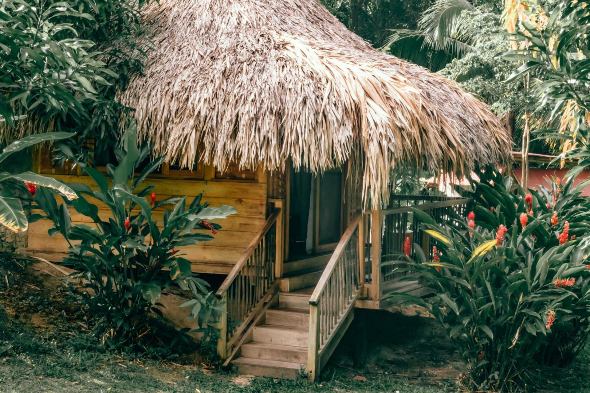 Magic Green Dentro Del Parque Tayrona Ел Заино Екстериор снимка