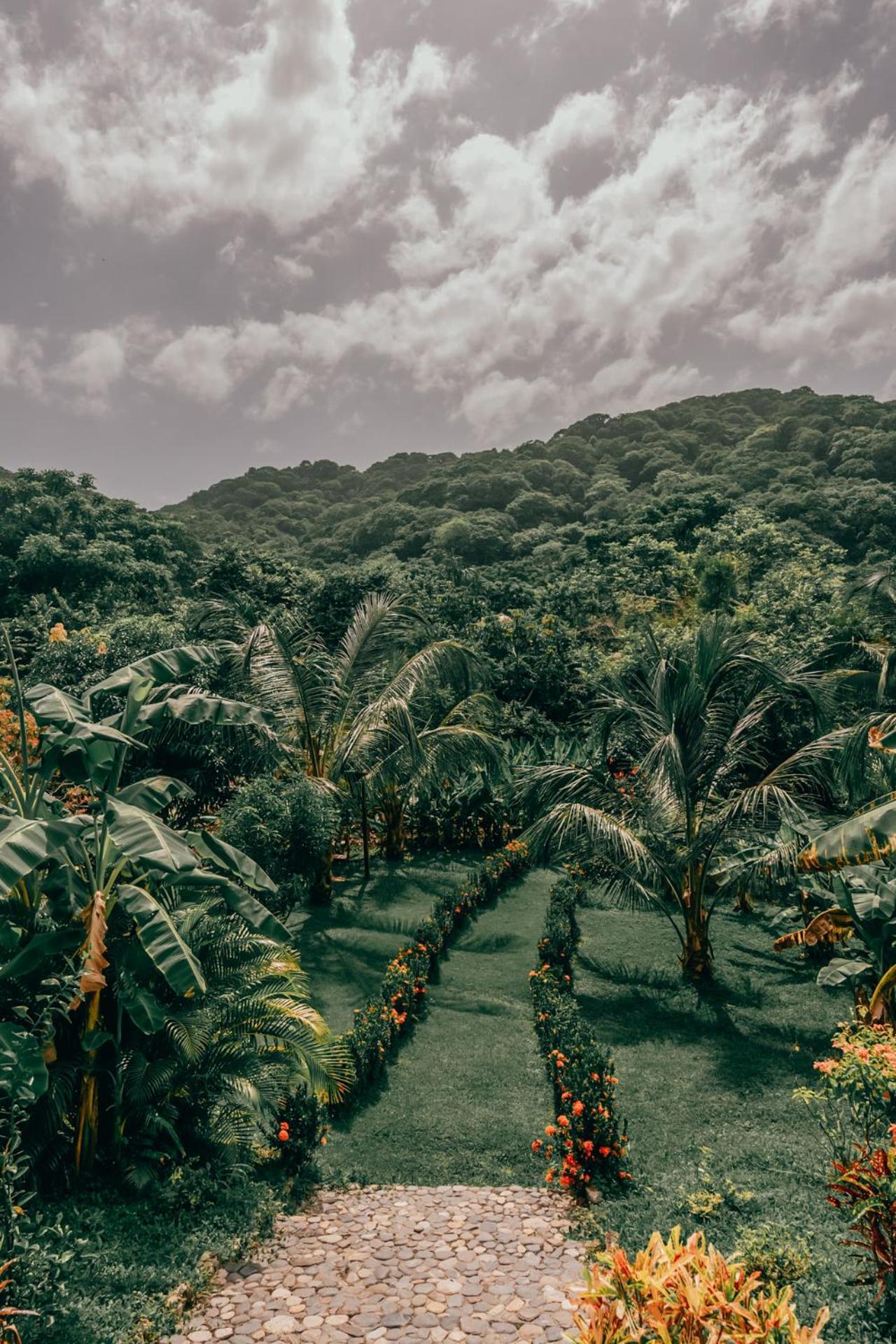 Magic Green Dentro Del Parque Tayrona Ел Заино Екстериор снимка