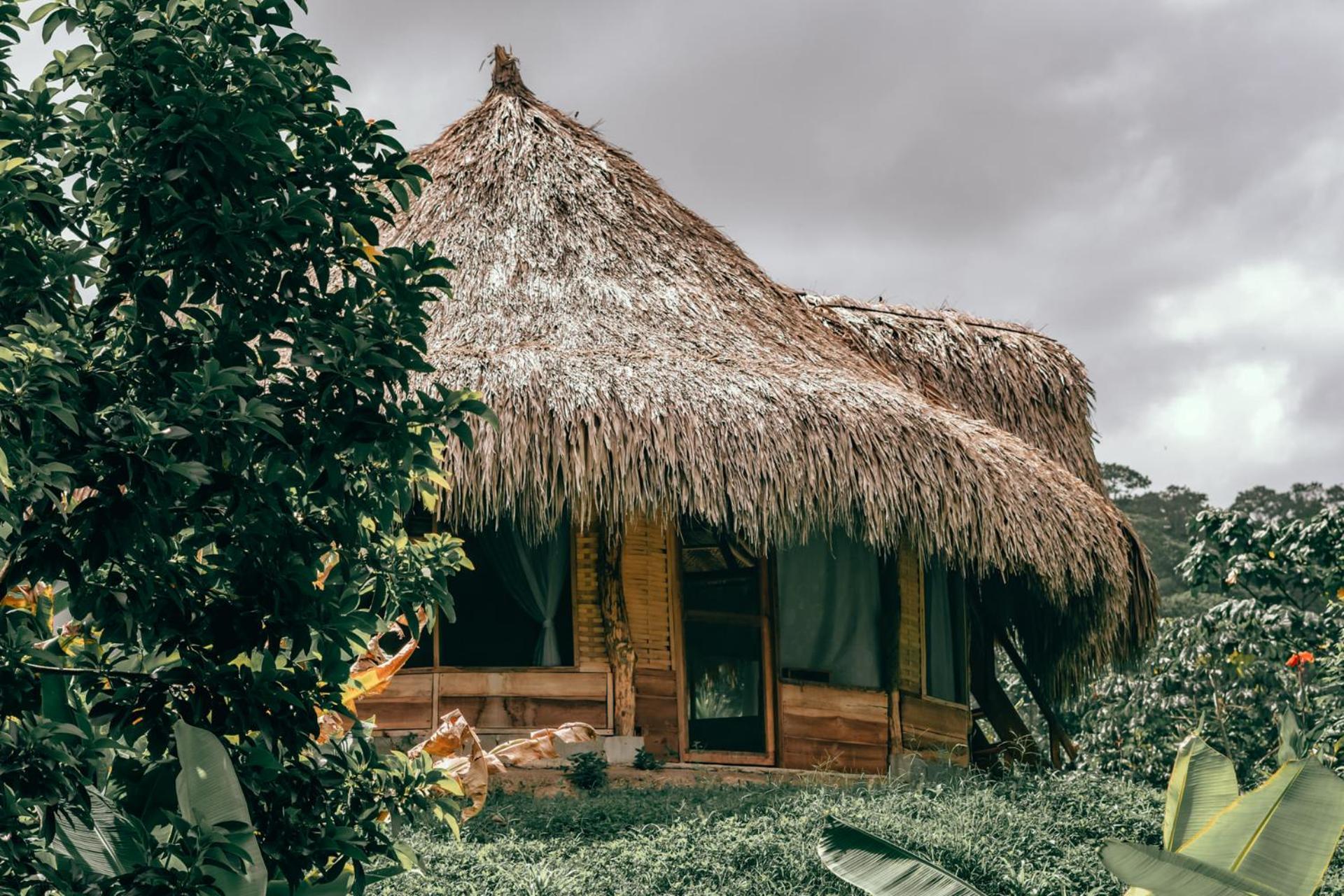 Magic Green Dentro Del Parque Tayrona Ел Заино Екстериор снимка