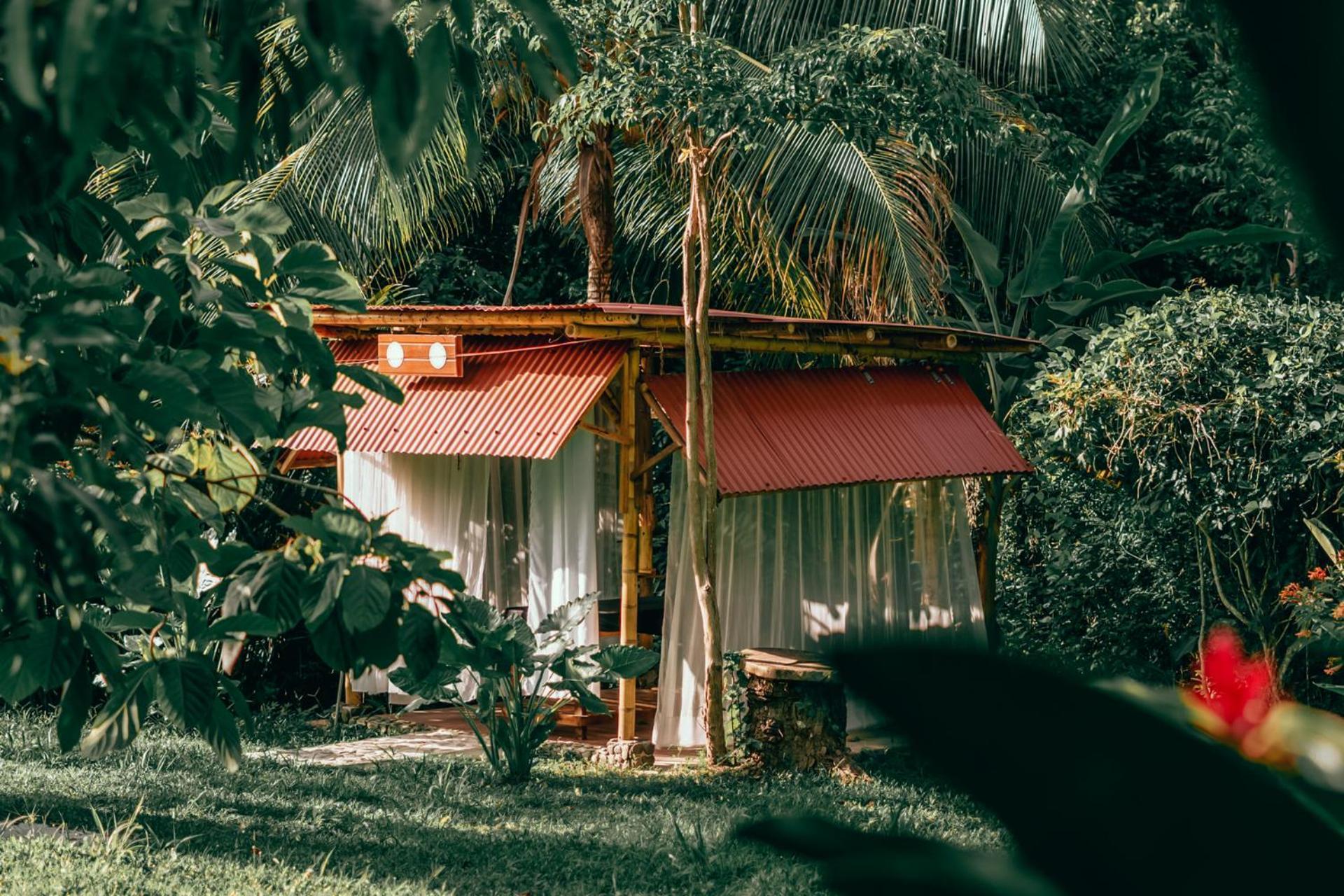 Magic Green Dentro Del Parque Tayrona Ел Заино Екстериор снимка