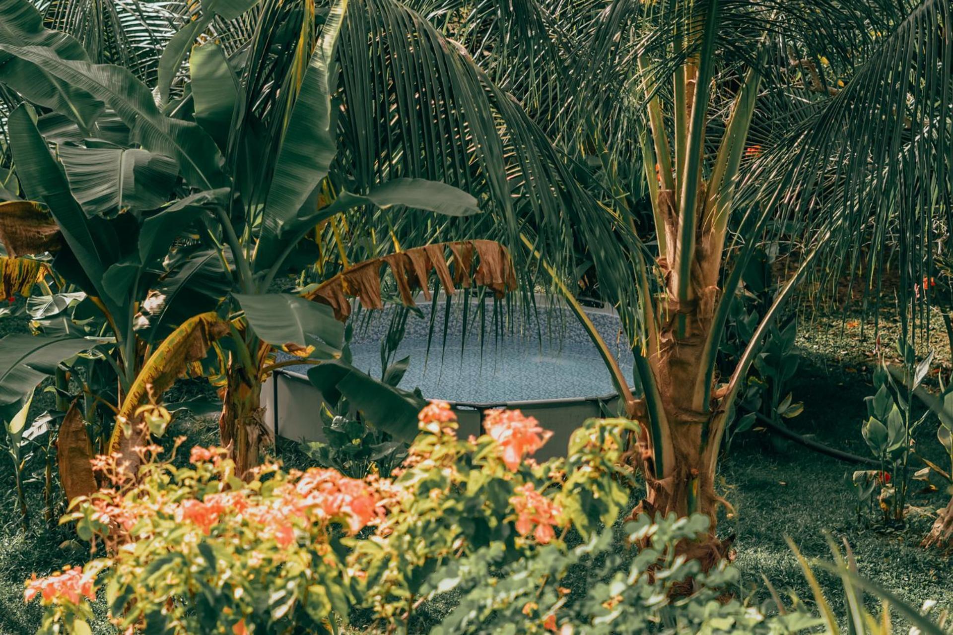 Magic Green Dentro Del Parque Tayrona Ел Заино Екстериор снимка