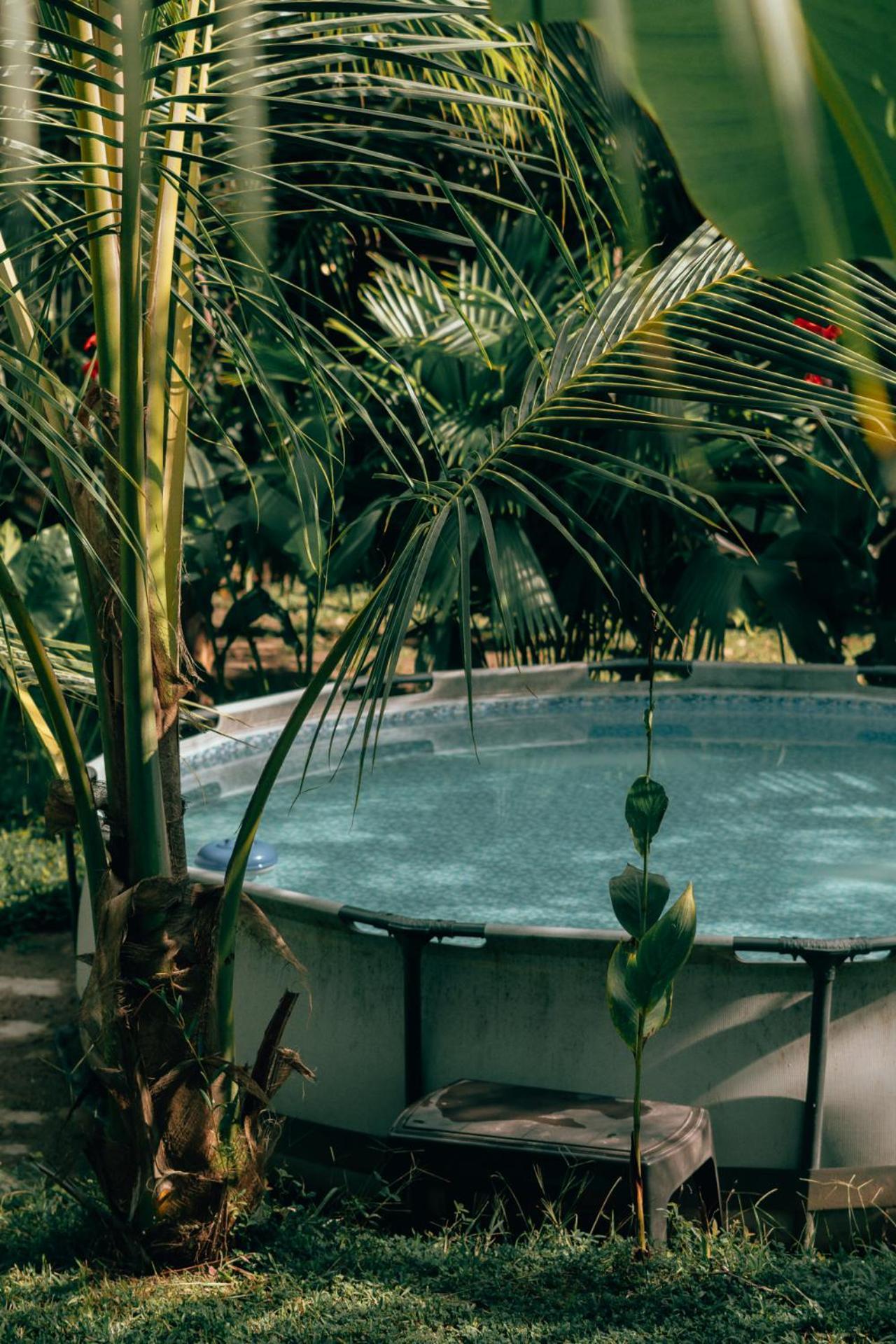 Magic Green Dentro Del Parque Tayrona Ел Заино Екстериор снимка